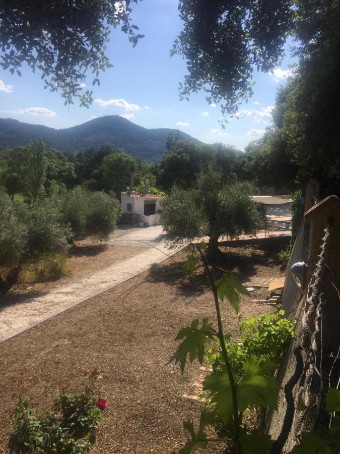 Casa Rural Cortijo La Ajedrea Siles Exteriér fotografie