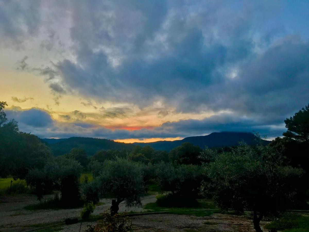 Casa Rural Cortijo La Ajedrea Siles Exteriér fotografie