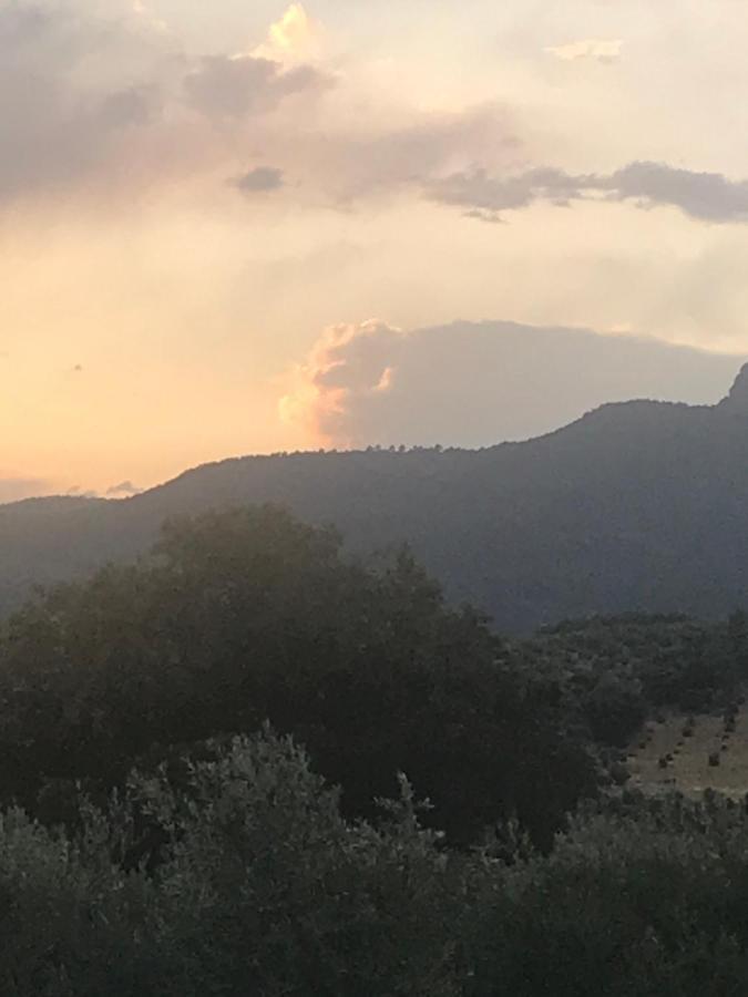 Casa Rural Cortijo La Ajedrea Siles Exteriér fotografie